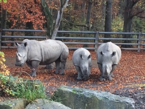 Oktober2015 339